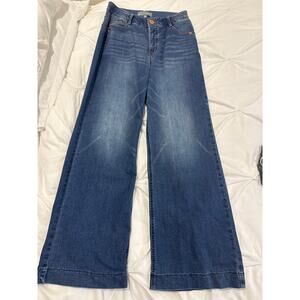 Wit & Wisdom Sam High Rise Wide Leg Jeans 4 Preppy Capsule Premium